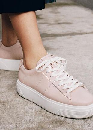 💝кросівки ecco street platform