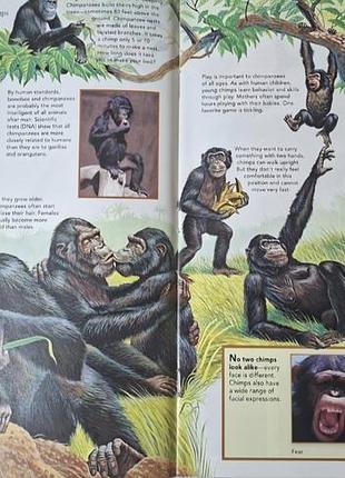 Журнали наука zoobooks про тварин (гепарди, видри, дикі коні, анатомія лісових тварин, мавпи) англійська