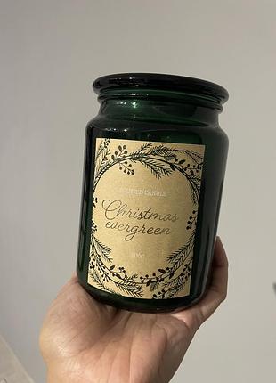 Різдвяна свічка christmas evergreen