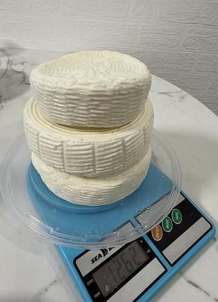 Бринза з козиного молока. 500 грн/кг