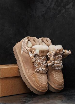 Замшевые трендовые угги ugg lowmel sneaker beige