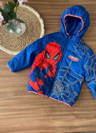 Демісезонна тепла дута демі куртка спайдермен spiderman marvel nutmeg 4-5 років, 104-110 см
