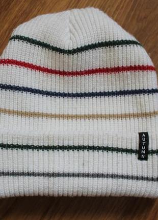 Унисекс бини вязаная шапка autumn multi stripe в полоску