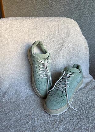 Кеди від copenhagen cph463 crosta softy green