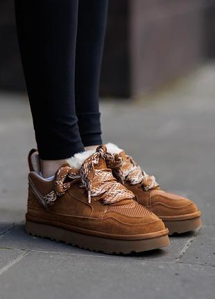 Р.36-40 ugg lowmel sneaker brown ug012