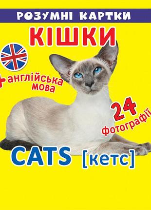 Розумні картки. кішки. 12 карток, шт