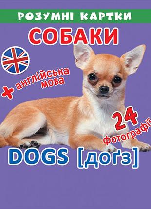 Розумні картки. собаки. 12 карток, шт