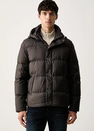 Urbanshop com ua paul&sharkпухова куртка чоловіча зелена 16312142 розміри запитуйте