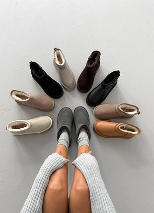 Новинка 11386 ультракороткі жіночі уггі угги uggs натуральна замша
всередині: набивне хутро (у складі 30% вовни)