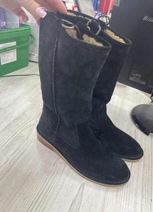 Ugg сапожки жіночі