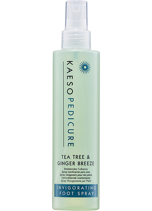 Спрей освежающий для ног tea tree&ginger breeze kaeso, 195 мл
