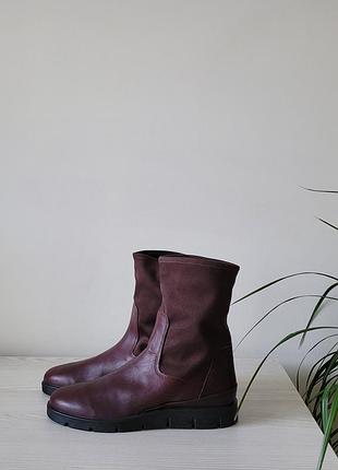 Сапожки кожаные оригинал ecco bella 282363 гг.39,40