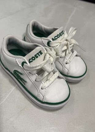 Кеди lacoste