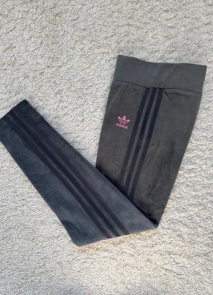 Спортивні штани жіночі adidas сірі