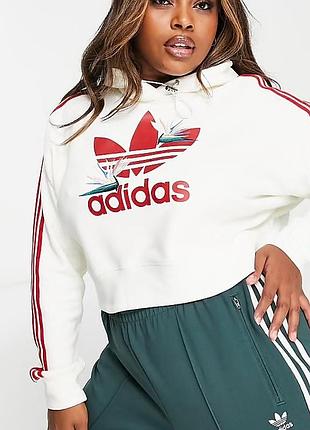 Худі adidas плюс сайз ❤️