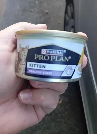 Вологий корм для котят pro plan kitten healthy - курка