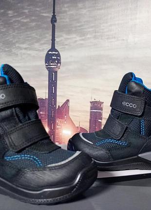 Детских зимних водонепроницаемых ботинок ecco urban mini с мембраной gore-tex® размер 24, длина стельки 15 см, страна производитель индонезия