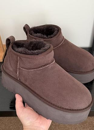 Уггі жіночі на платформі ugg classic mini