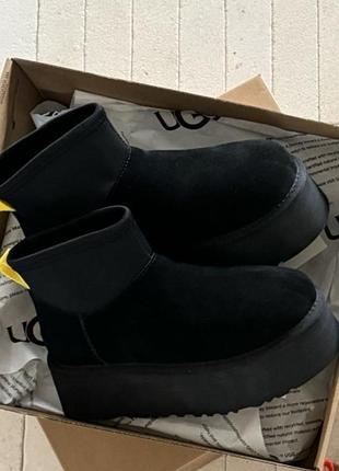 Уггі жіночі ugg mini dipper