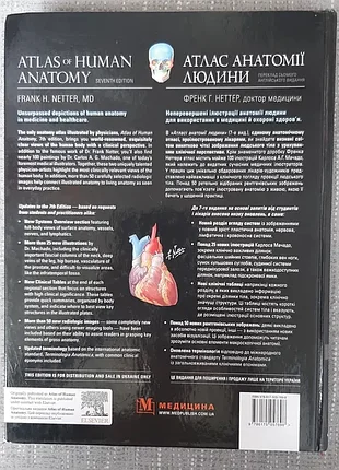 Атлас анатомии человека френк г. неттер 2