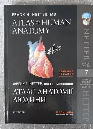 Атлас анатомії людини френк г. неттер