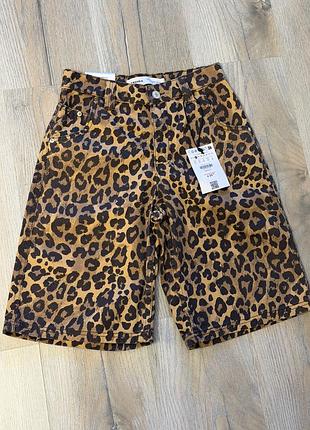 Леопардові бермуди bershka xs 6