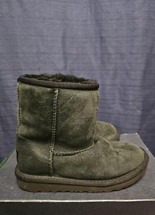 Угги сапожки ugg