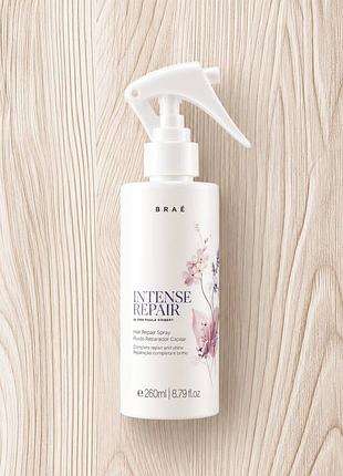 Спрей флюид brae intense repair hair spray by ana paula siebert для восстановления волос 260 мл