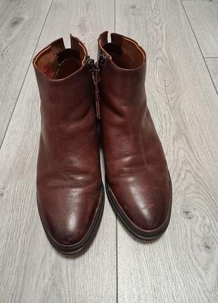 Жіночі ботильйони sarto by franco sarto коричневі шкіряні 38-38.5