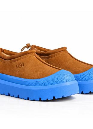 Уггі чоловічі  ugg tasman hybrid blue