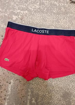 Труси lacoste