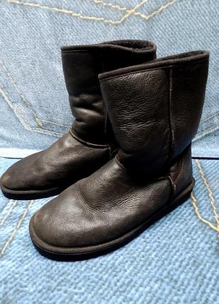Уги чоловічі ugg оригінал