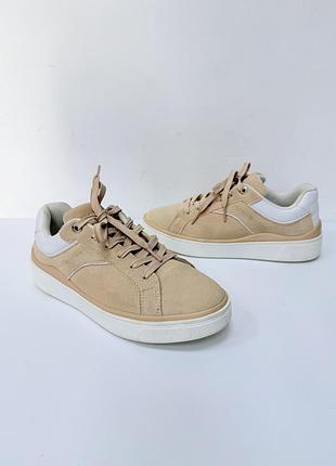 Кросівки tommy hilfiger