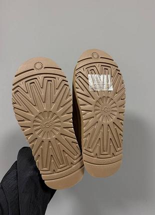 Уггі ugg tazz sock |  khaki premium 5