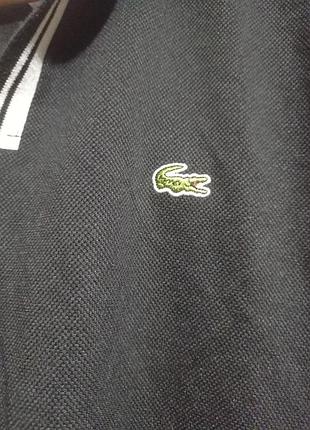 Поло мужского бренда lacoste ✨ 5