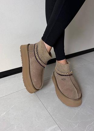 Уггі ugg tazz sock |  khaki premium 3