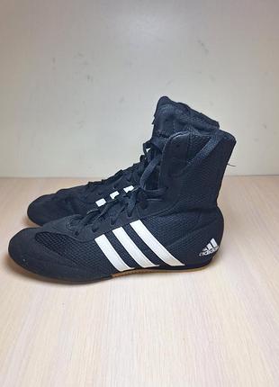 Кросівки ,боксерки adidas