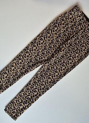 Коричневые леопардовые лосины / брюки matalan (140 см) 2