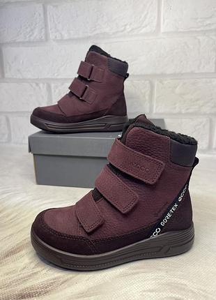 Черевики для дітей ecco urban snowboarder зимові водонепроникні з gore-tex