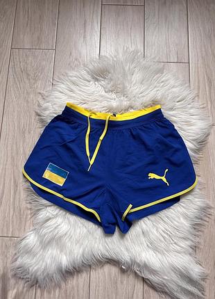 Жіночі шорти puma сині спортивні