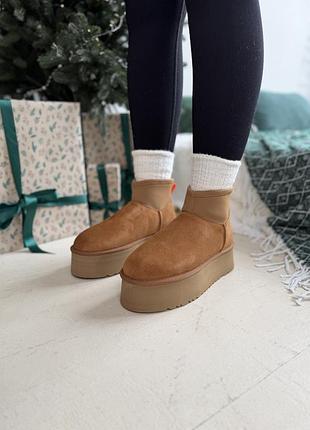 Classic mini dipper chestnut 41