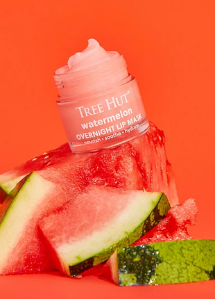 Нічна маска для губ tree hut watermelon overnight lip mask 17 г
