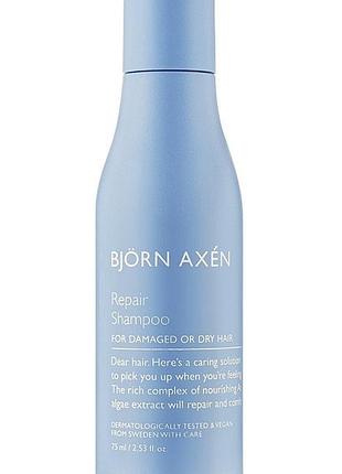 Відновлюючий шампунь для волосся bjorn axen repair shampoo travel size 75 ml