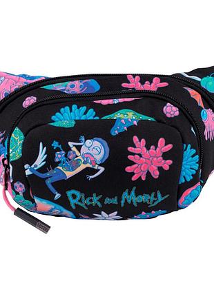 Сумка-бананка "kite" /rm22-1007/ education rick and morty (62042) (1/50)