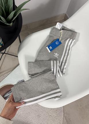 Лосини від adidas