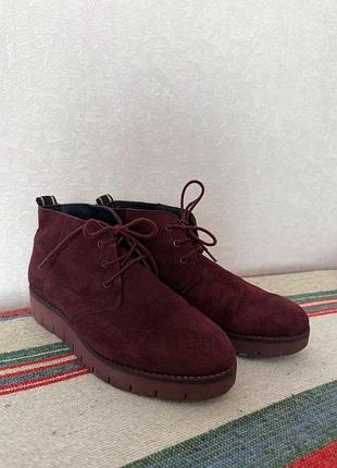 Жіночі черевики tommy hilfiger