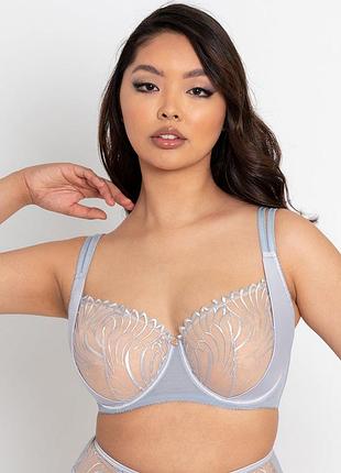 Розкішний бюстгальтер scantilly fallen angel balcony bra (silvery blue) 40е/90f
