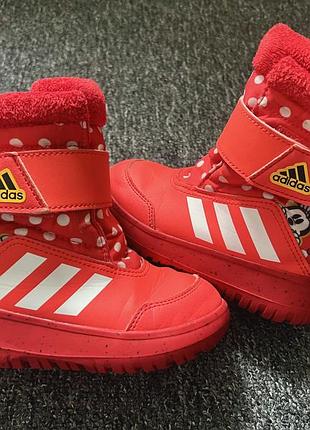 Чоботи дитячі зимові adidas