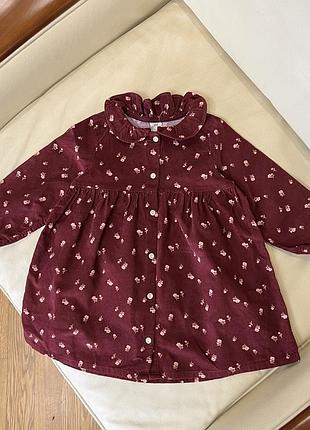 Дуже гарна вельветова сукня у квітковий принт на дівчинку від h&m 1.5-2 роки ріст 92 стан нова без бірки дов 51, шир 30, рукав 32, з комірцем
