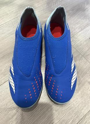 Футбольні сороконіжки чоловічі adidas predator accuracy.3 laceless tf сині